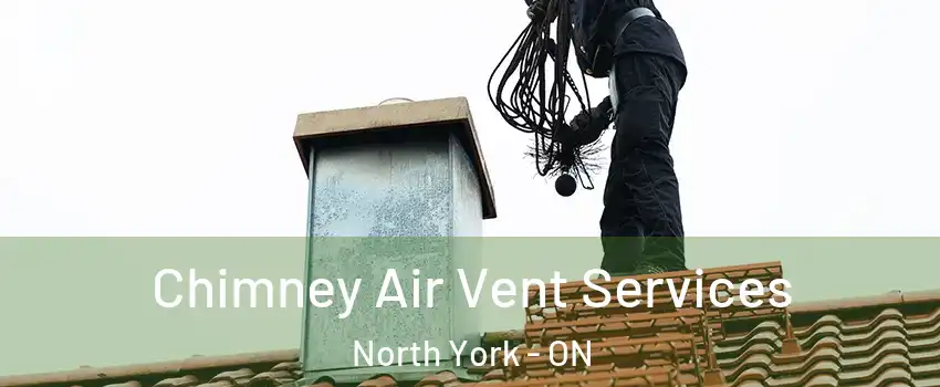  Chimney Air Vent Services North York - ON