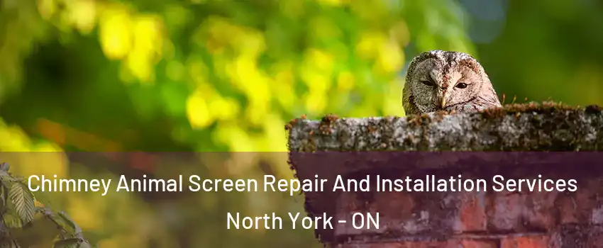  Chimney Animal Screen Repair And Installation Services North York - ON