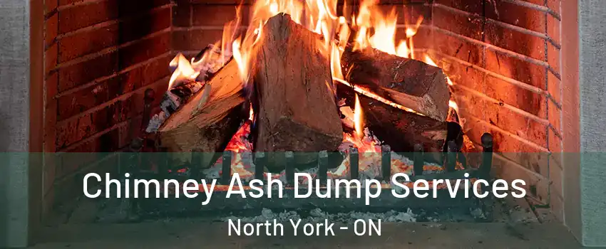  Chimney Ash Dump Services North York - ON