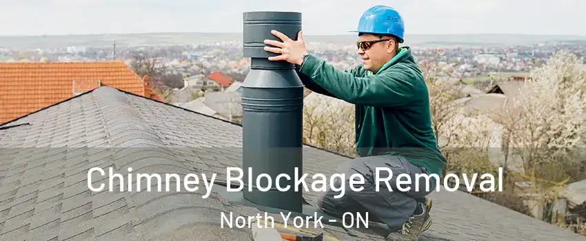  Chimney Blockage Removal North York - ON