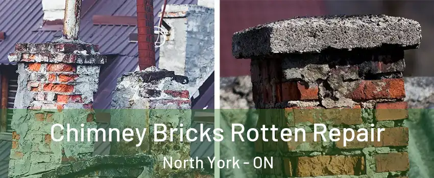  Chimney Bricks Rotten Repair North York - ON