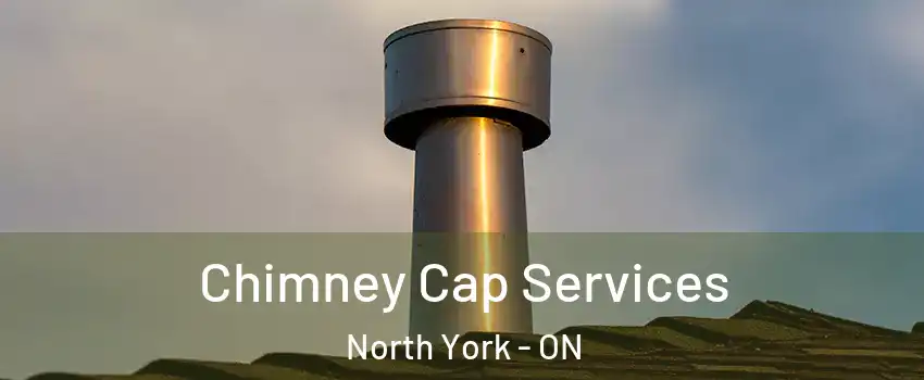  Chimney Cap Services North York - ON