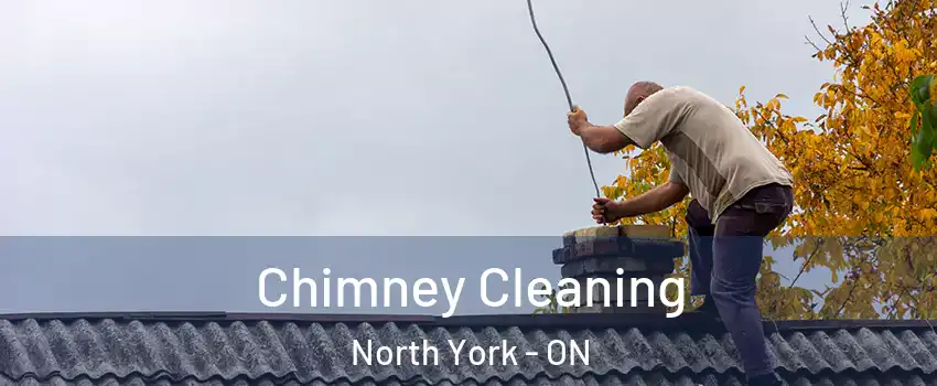  Chimney Cleaning North York - ON