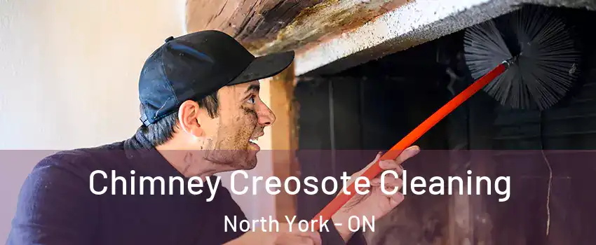  Chimney Creosote Cleaning North York - ON