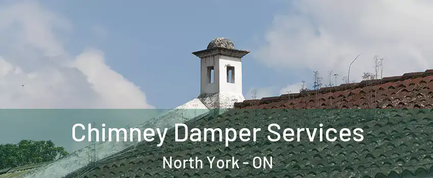  Chimney Damper Services North York - ON