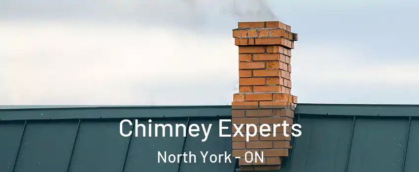  Chimney Experts North York - ON