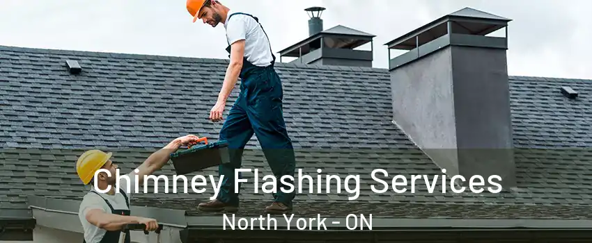  Chimney Flashing Services North York - ON