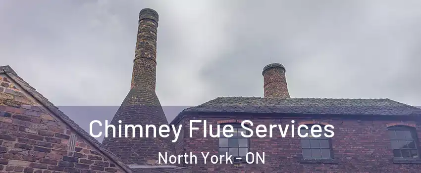  Chimney Flue Services North York - ON
