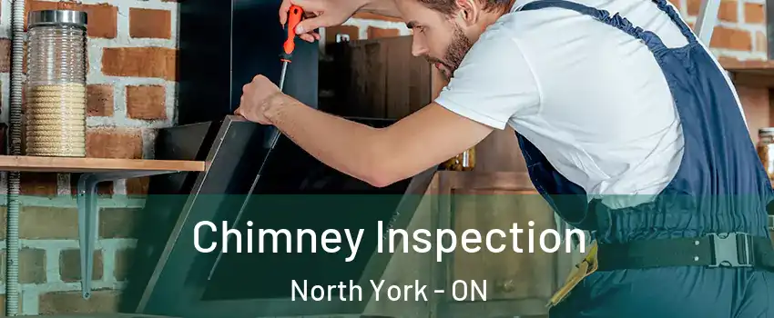  Chimney Inspection North York - ON