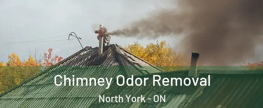  Chimney Odor Removal North York - ON