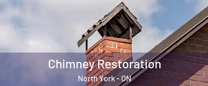  Chimney Restoration North York - ON