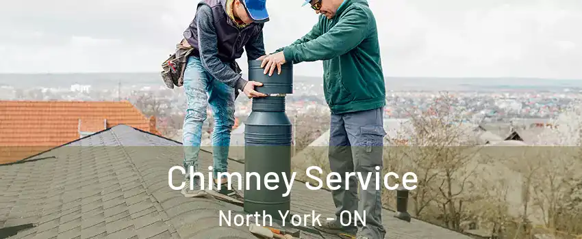  Chimney Service North York - ON