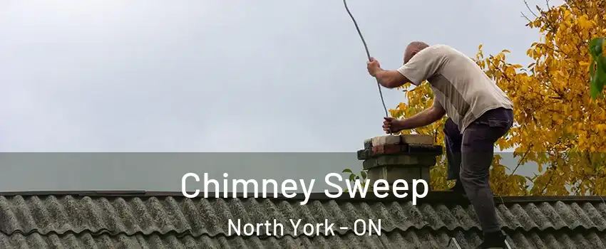  Chimney Sweep North York - ON
