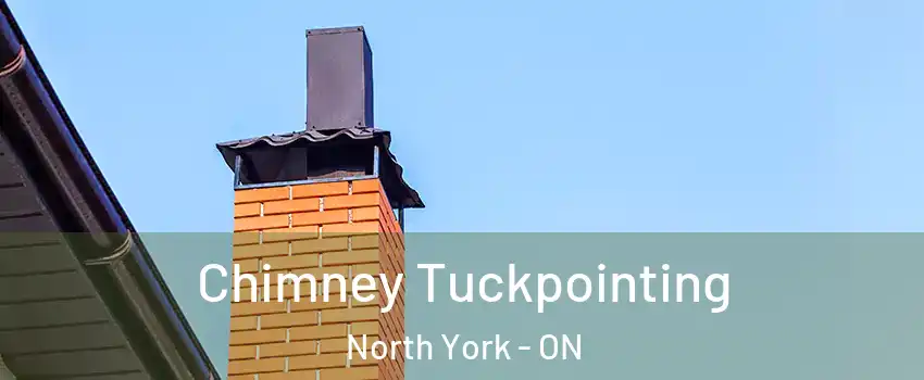  Chimney Tuckpointing North York - ON