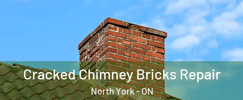  Cracked Chimney Bricks Repair North York - ON