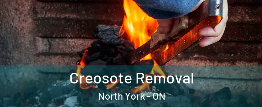  Creosote Removal North York - ON