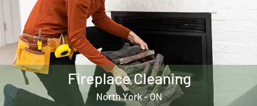  Fireplace Cleaning North York - ON