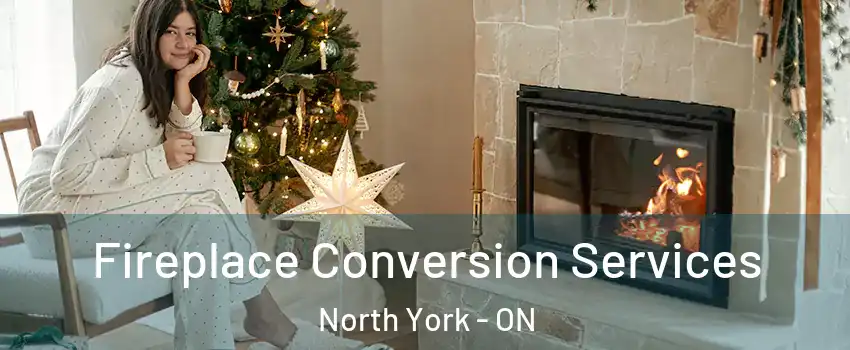  Fireplace Conversion Services North York - ON