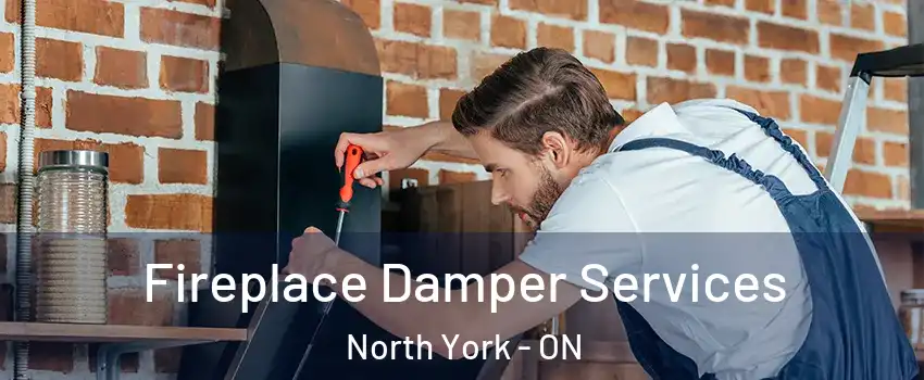  Fireplace Damper Services North York - ON