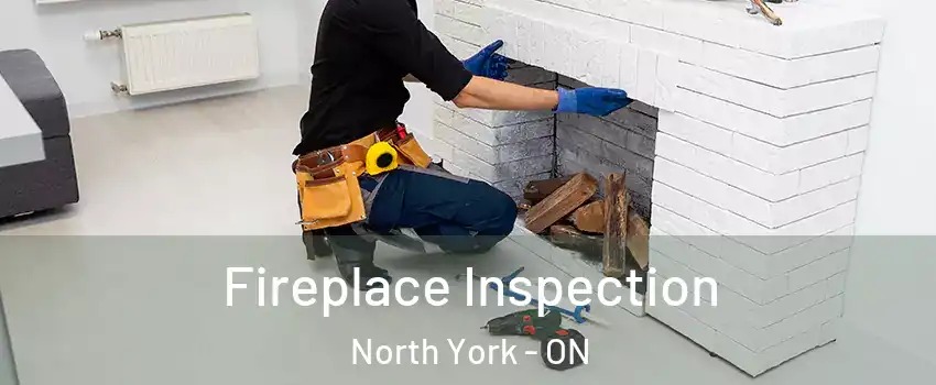  Fireplace Inspection North York - ON
