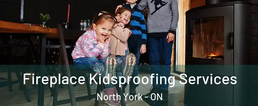  Fireplace Kidsproofing Services North York - ON