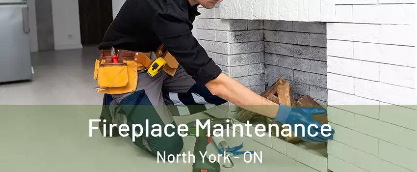  Fireplace Maintenance North York - ON