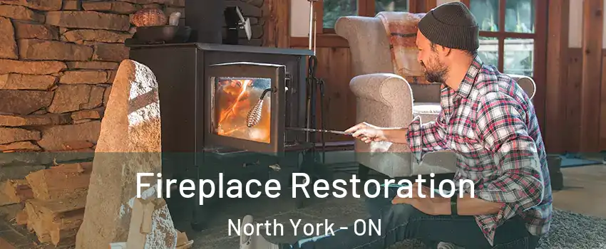  Fireplace Restoration North York - ON