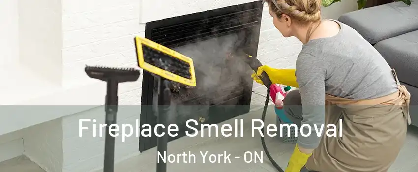  Fireplace Smell Removal North York - ON