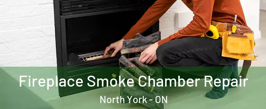  Fireplace Smoke Chamber Repair North York - ON