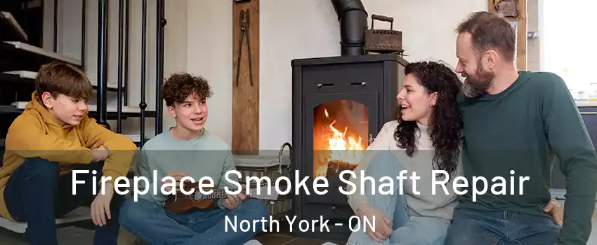  Fireplace Smoke Shaft Repair North York - ON