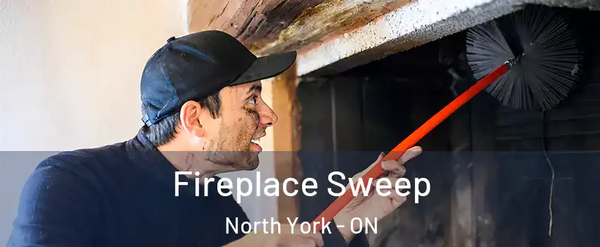  Fireplace Sweep North York - ON