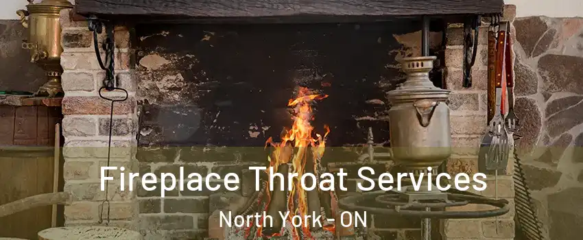  Fireplace Throat Services North York - ON