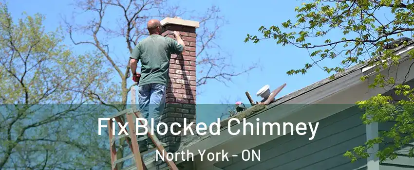  Fix Blocked Chimney North York - ON