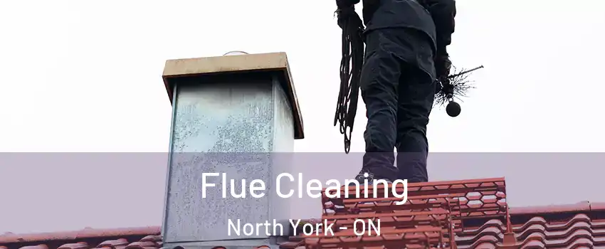  Flue Cleaning North York - ON
