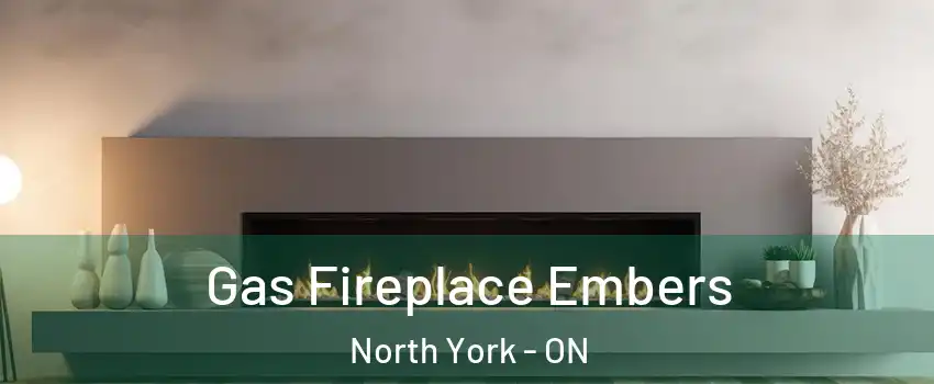  Gas Fireplace Embers North York - ON