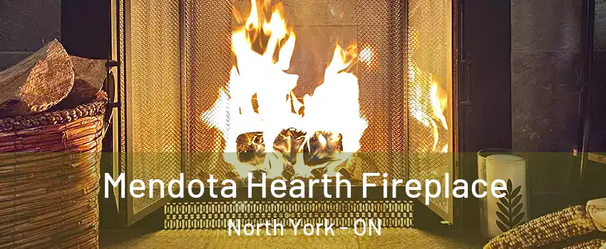  Mendota Hearth Fireplace North York - ON