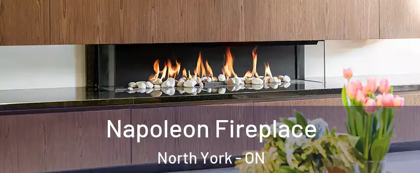  Napoleon Fireplace North York - ON