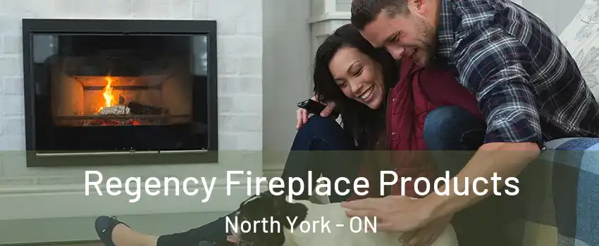  Regency Fireplace Products North York - ON